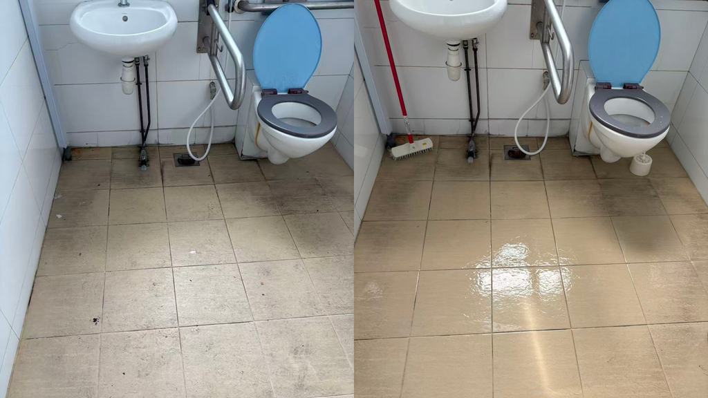 Basic Cleaning