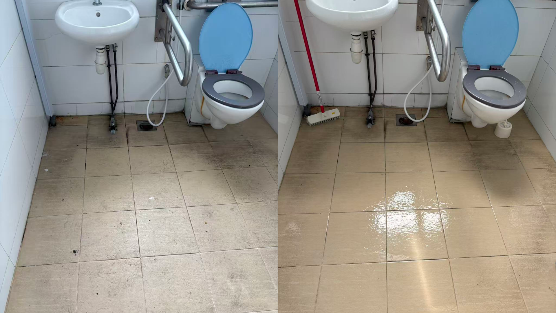 Basic Cleaning