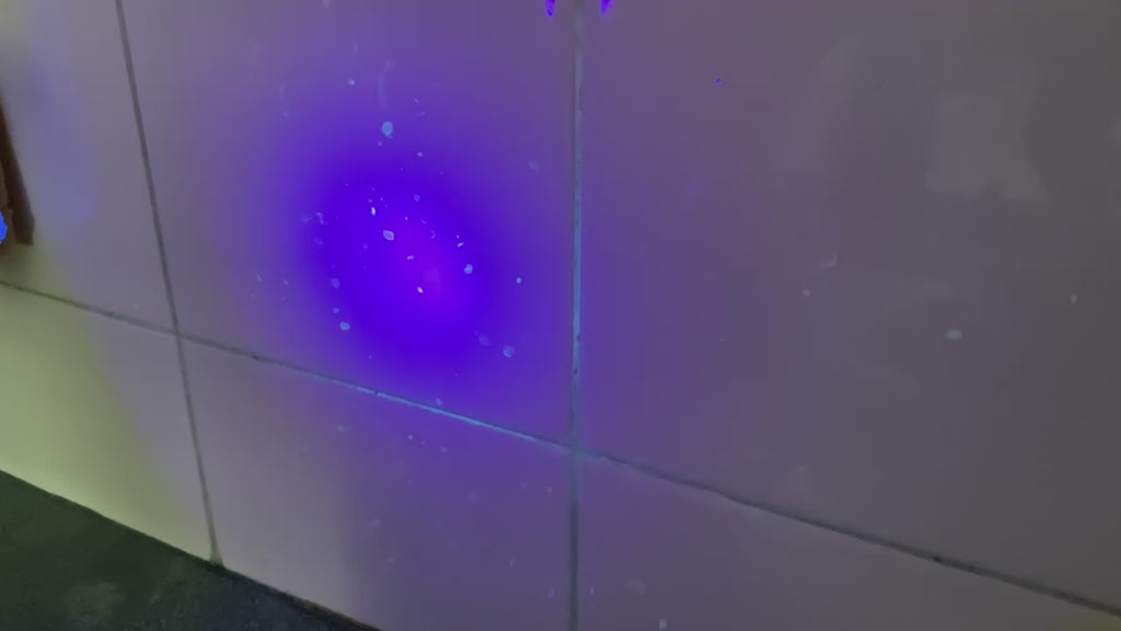 Basic Cleaning